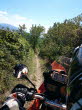 KTM_schmalerWeg