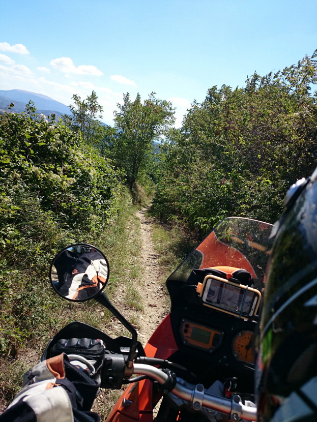 KTM_schmalerWeg