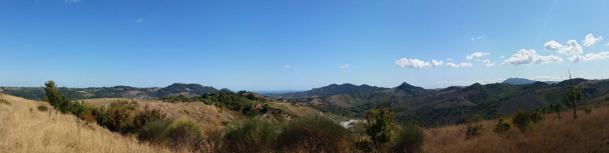 Panorama1