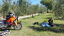 Picnic_Paula_KTM