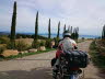 Trasimeo_Allee